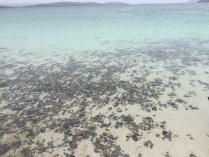 beach by Barra Outer Hebrides on Four Seasons Campers road trip Scotland 